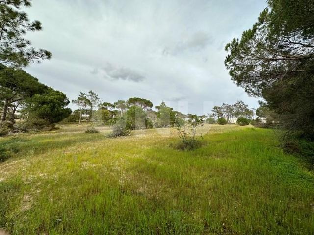 Terrenos Loulé Loulé DLS97123931