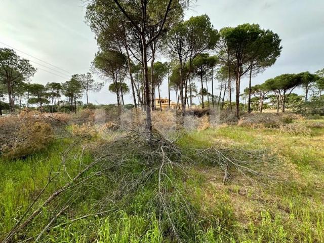 Terrenos Loulé Loulé DLS97123938
