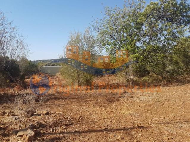 Terrenos Loulé Loulé DLS97124484