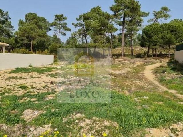 Terrenos Loulé Loulé DLS97124407