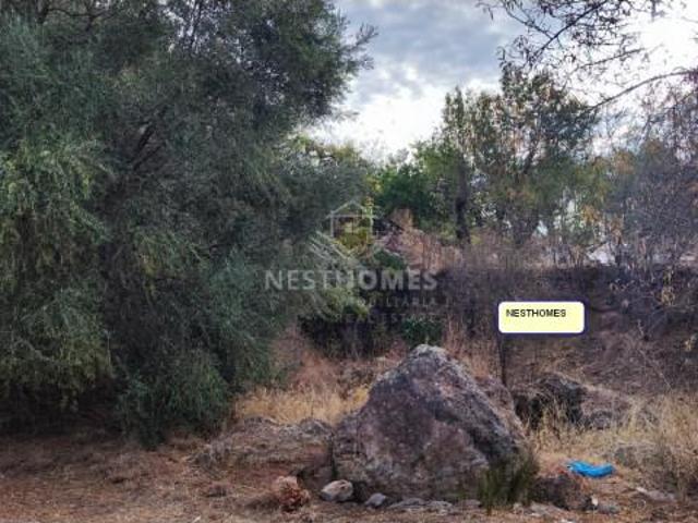 Terrenos Loulé Loulé DLS97742170
