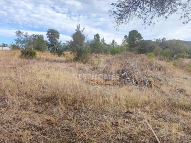 Terrenos Loulé Loulé DLS97742172