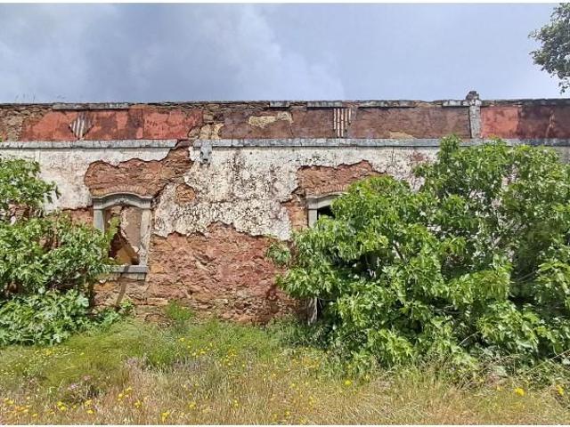 Terrenos Loulé Loulé DLS98270490