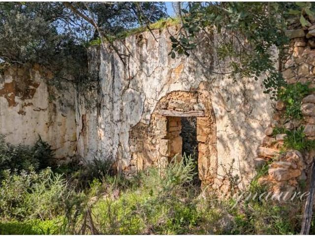 Terrenos Loulé Loulé DLS99784303