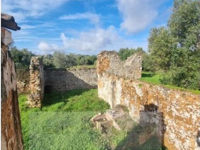 Terrenos Loulé Loulé DLS100017398