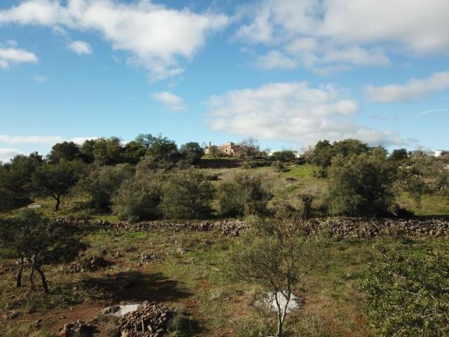 Terrenos Loulé Loulé DLS100248271