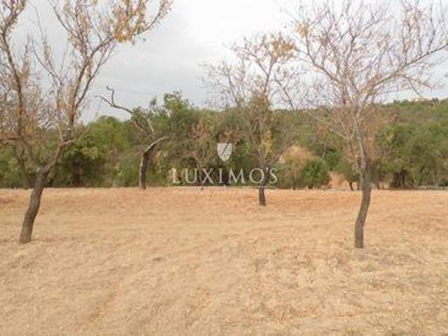 Terrenos Loule S. Sebastião FARO DS96308246