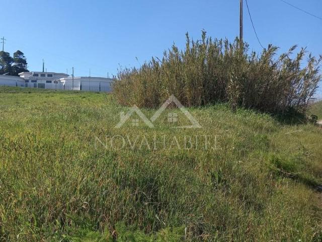 Terrenos Loures Loures DS99652740