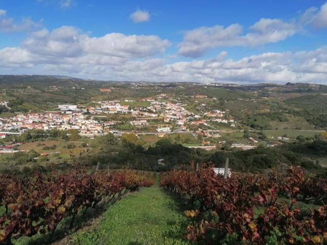 Terrenos Loures Lisboa DS84141031