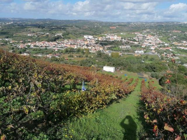 Terrenos Loures Lisboa DS84141033