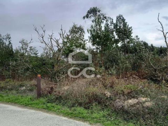 Terrenos Lourinhã Lisboa DLS83583055