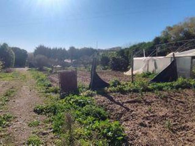 Terrenos Lourinhã Lisboa DLS98133211