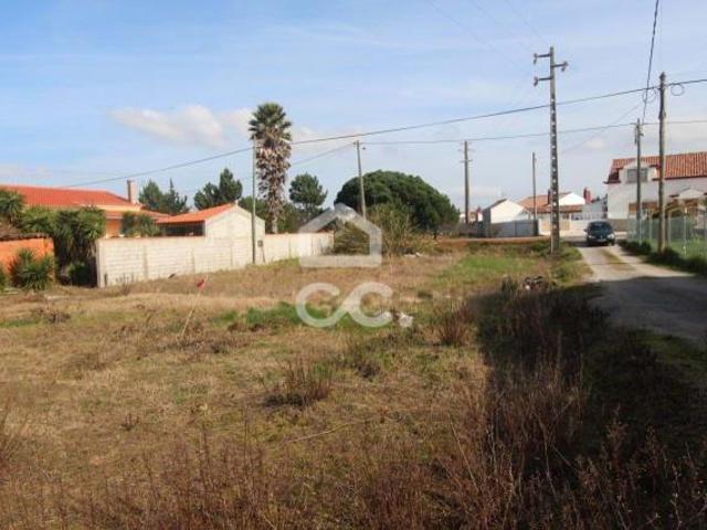 Terrenos Lourinhã Lisboa DS42980295