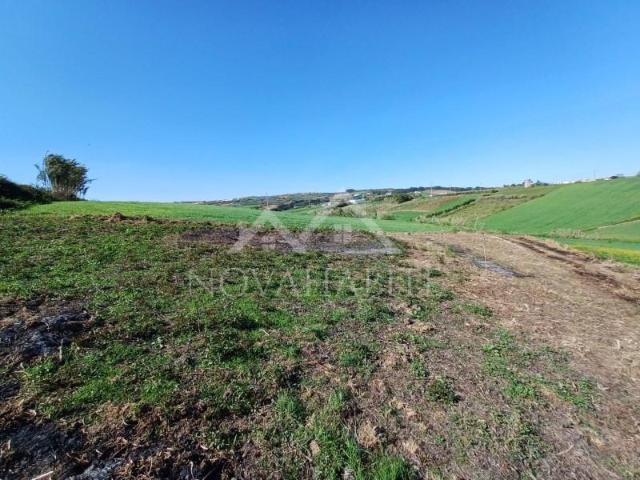 Terrenos Lourinhã Lourinhã DLS87076358