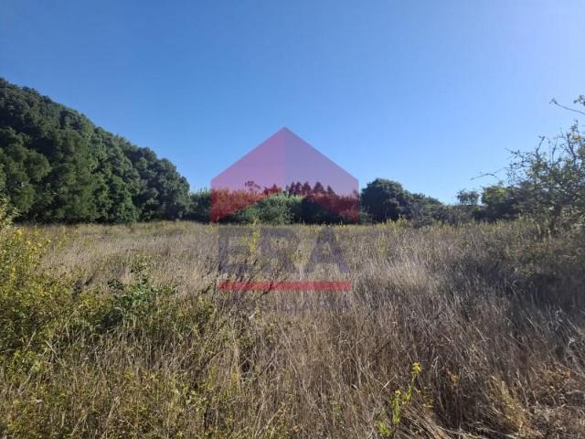 Terrenos Lourinhã Lourinhã DLS94948044