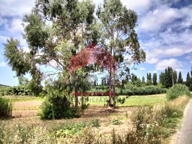 Terrenos Lourinhã Lourinhã DLS96937238