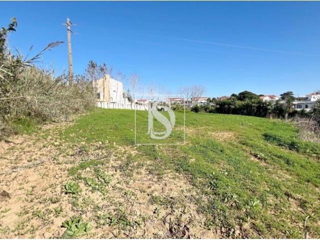 Terrenos Lourinhã Lourinhã DLS97118440