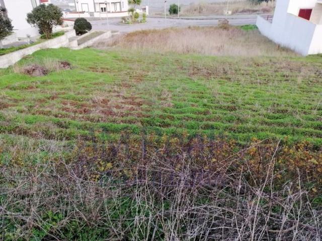 Terrenos Lourinhã Lourinhã DLS98544298