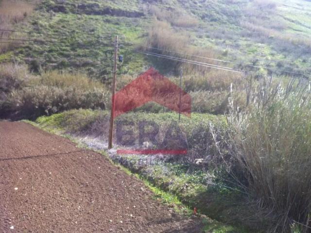 Terrenos Lourinhã Lourinhã DLS98544348