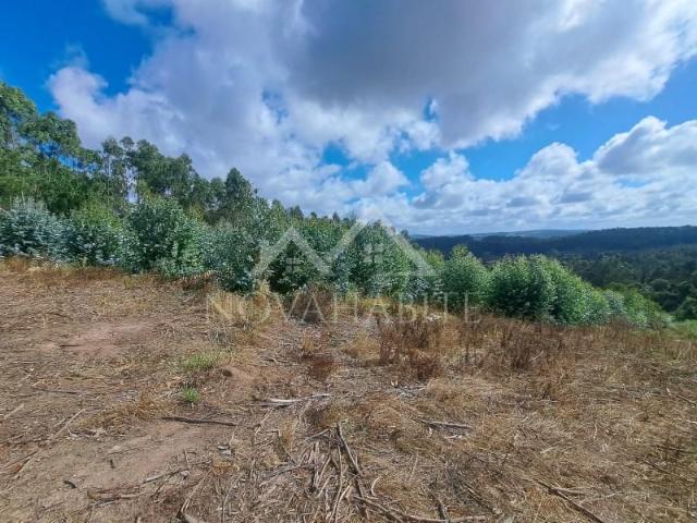 Terrenos Lourinhã Lourinhã DS87097831