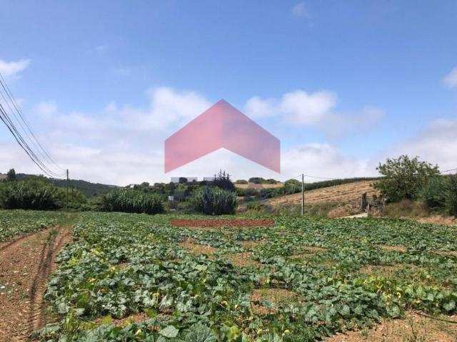 Terrenos Lourinhã Lourinhã DS87038992