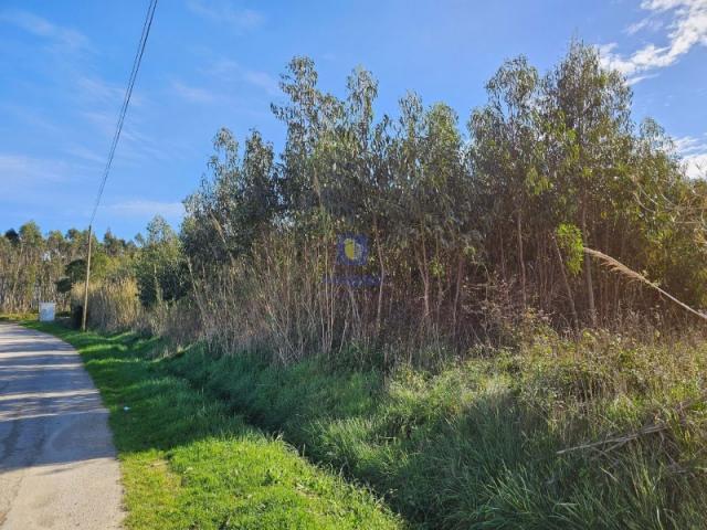 Terrenos Lourinhã Lourinhã DS87633205