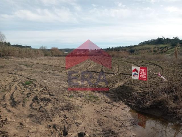 Terrenos Lourinhã Lourinhã DS87738509