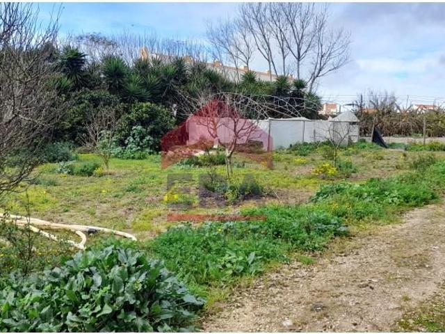 Terrenos Lourinhã Lourinhã DS87738511