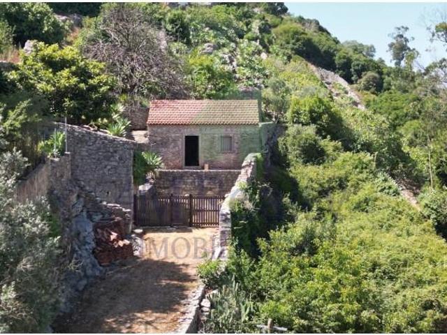 Terrenos Lourinhã Lourinhã DS92386229