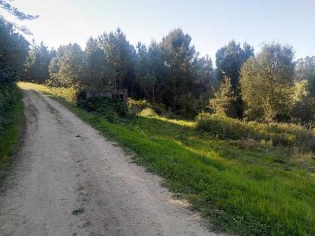 Terrenos Lourinhã Lourinhã DS94088749