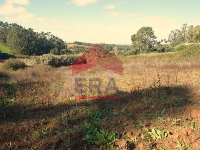 Terrenos Lourinhã Lourinhã DS96495452