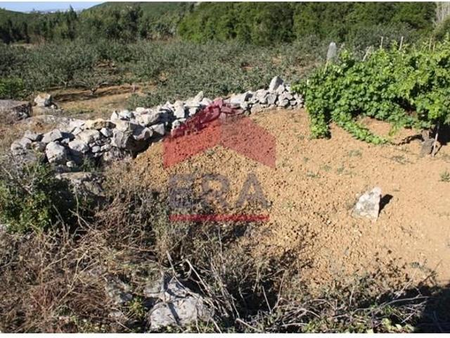 Terrenos Lourinhã Lourinhã DS97087814