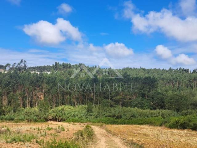 Terrenos Lourinhã Lourinhã DS97134643