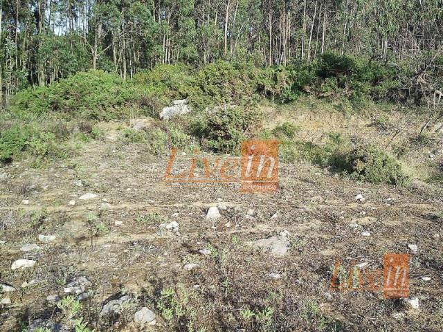 Terrenos Lourinhã Lourinhã DS97312540