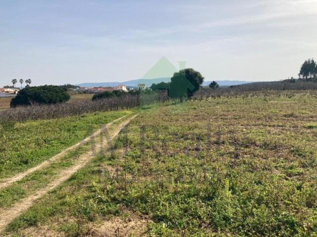 Terrenos Lourinhã Lourinhã DS98693137