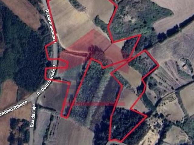 Terrenos Lourinhã Lourinhã DS99784776