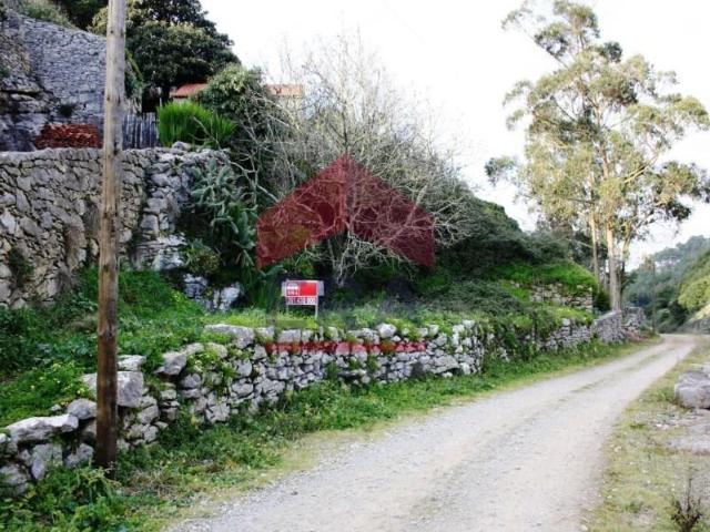 Terrenos Lourinhã Lourinhã DS100628253