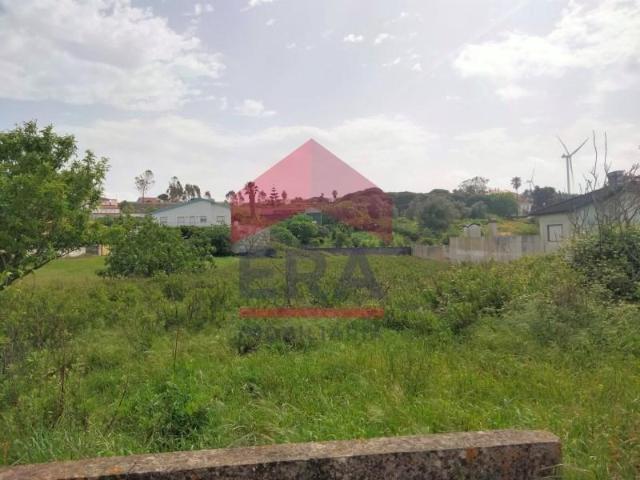 Terrenos Lourinhã Lourinhã DS101516204