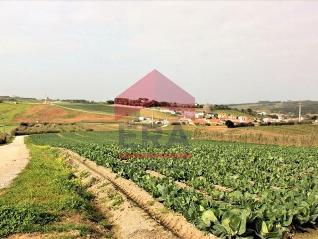 Terrenos Lourinhã Lourinhã DS102044568
