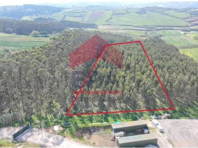 Terrenos Lourinhã Lourinhã DS102074200