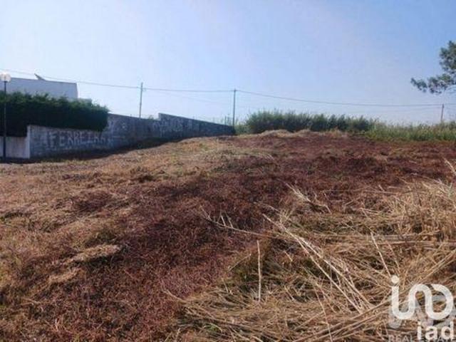 Terrenos Lourinha Lisboa DS102558001