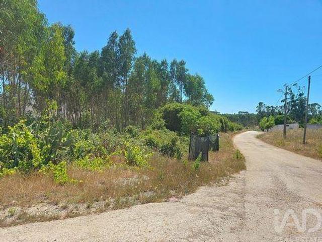 Terrenos Lourinha Lisboa DS102341761