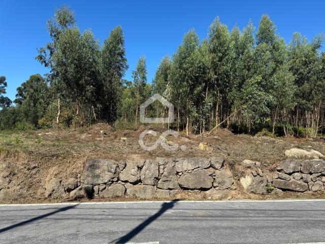 Terrenos Lousada Porto DLS84380566