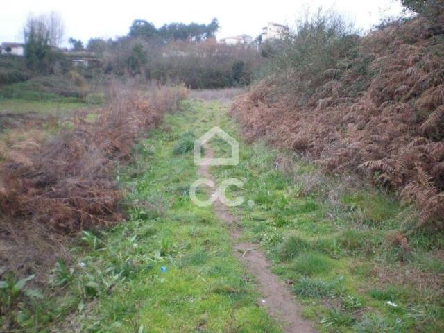 Terrenos Lousada Porto DS81650377