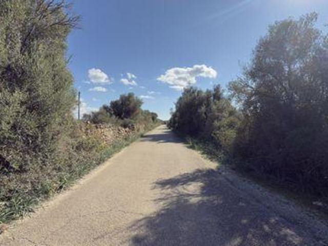 Terrenos Llucmajor Illes BalearsBaleares 102368725