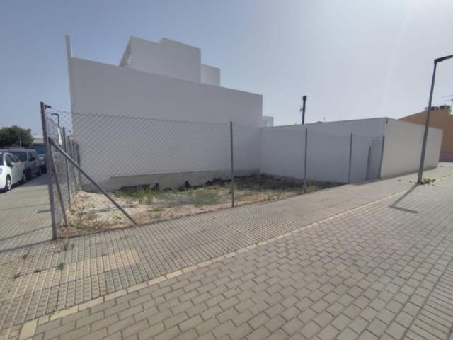 Terrenos Lucena Córdoba 95514066