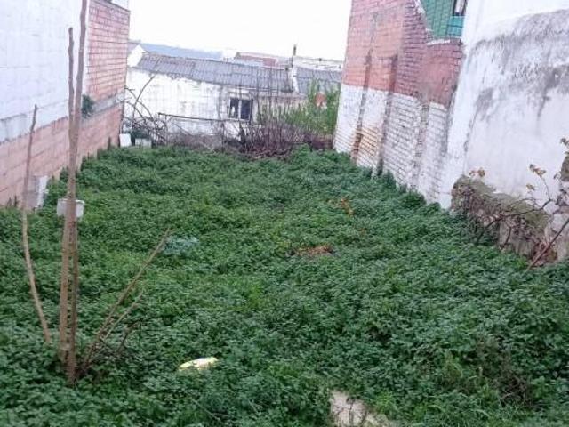 Terrenos Lucena Córdoba 100669735