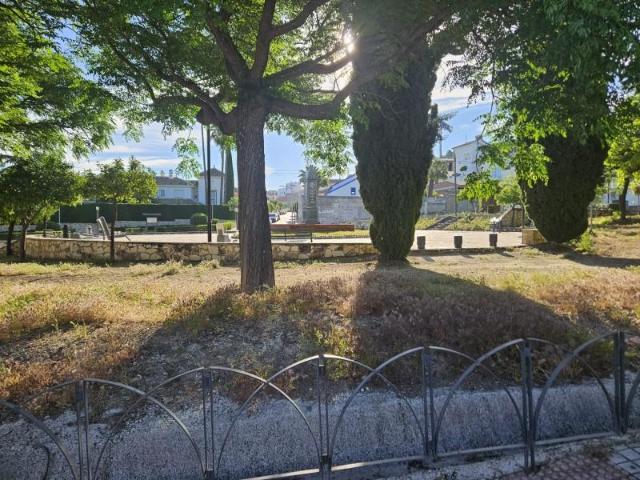Terrenos Lucena Córdoba 102578788