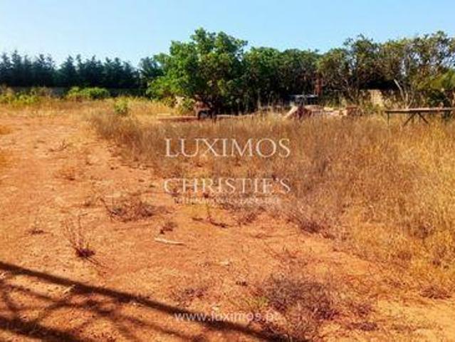 Terrenos Luz FARO DLS96316482