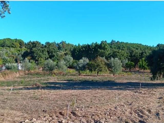 Terrenos Mação Mação DS94819240